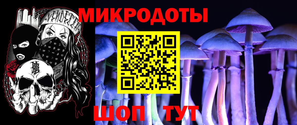 Галлюциногенные грибы Psilocybine cubensis Клинцы